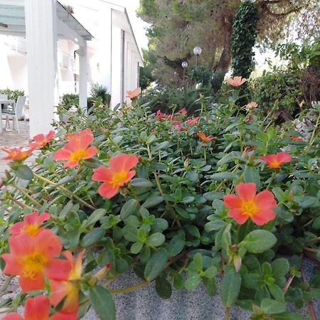 Aparthotel Raggio Di Sole Alberobello Exterior foto